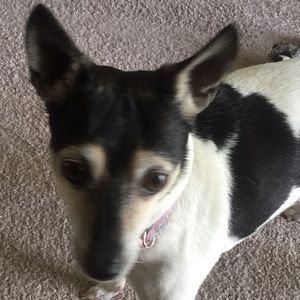 Meet your Posher, Jenny